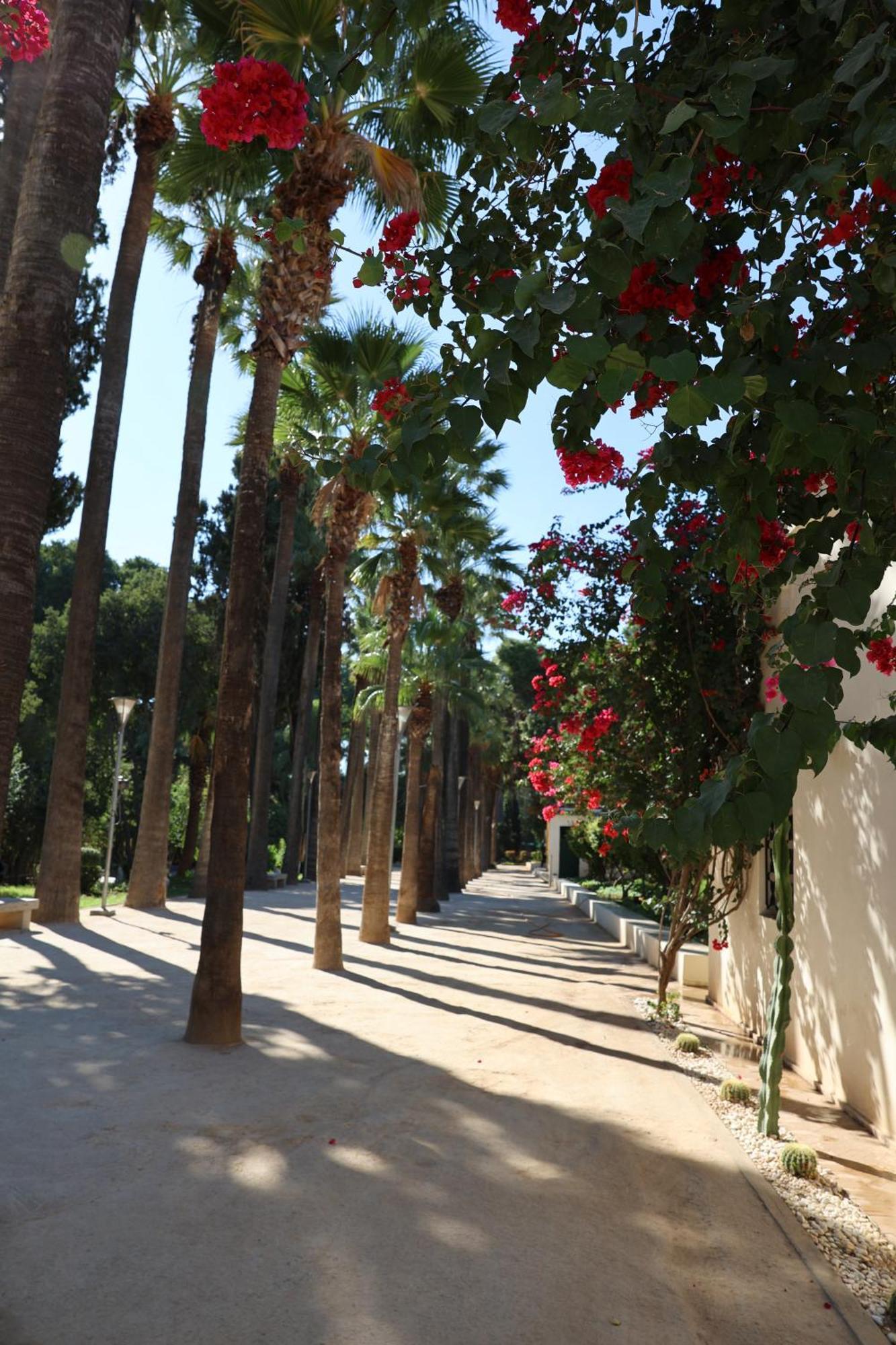 Riad Batchisarai Φεζ Εξωτερικό φωτογραφία
